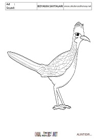 roadrunner boyama sayfaları